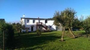 una grande casa bianca con un albero in cortile di Ferienwohnung in Vorland mit Grill und Garten a Vorland