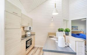 una cucina con pareti bianche e bancone con lavandino di Lovely Home In Krems Iiwarderbrück a Göls