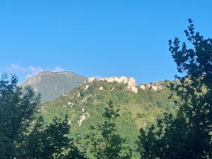 une montagne avec des arbres devant un ciel bleu dans l'établissement Rifugio San Vicino, à San Severino Marche 2 autres photos