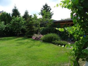 a garden with green grass and bushes and trees at Schönes Ferienhaus in Radewege mit schönem Garten in Radewege