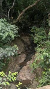 Gallery image of Finca el Okaso in Chaguaní