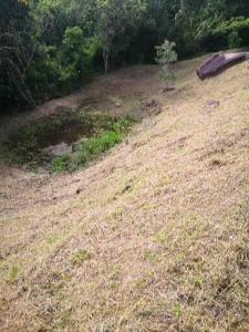 Gallery image of Finca el Okaso in Chaguaní +6 photos