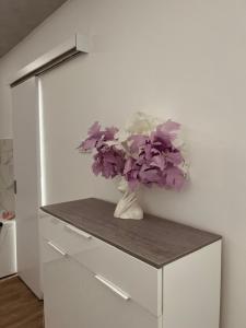 Fotografie z fotogalerie ubytování S class apartment v destinaci Novi Grad