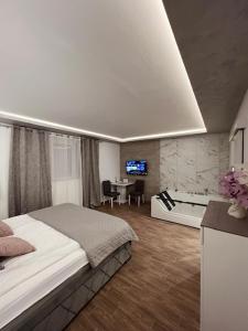TV a/nebo společenská místnost v ubytování S class apartment