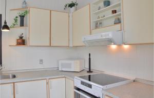 スナーヴィグにあるHoliday Home Lodbergsvej Ringkøbing Xiiの白いキャビネットとシンクと電子レンジを備えたキッチン +11枚の写真