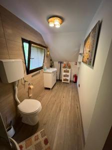ein Badezimmer mit Toilette und Waschbecken in der Unterkunft Family friendly house with a parking space Veliki Komor, Zagorje - 23212 in Zlatar