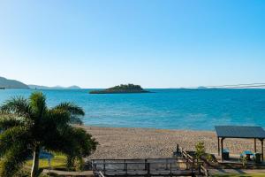 a beach with a palm tree and an island in the water at Whitsunday Beachfront Apartment on Coral Esplanade in Cannonvale