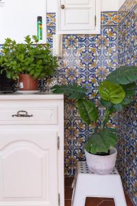 a bathroom with potted plants on a wall at Douro Garden & Rooftop Home in Vila Nova de Gaia