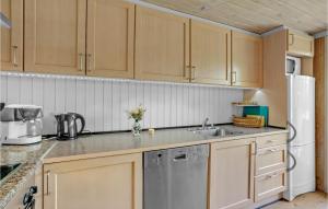 Kuchyň nebo kuchyňský kout v ubytování Holiday Home Fyrrelunden Ks Denmk