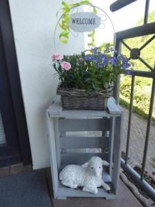 ein weißes Lamm auf einem Tisch mit einem Blumenkorb in der Unterkunft Schäfers Ferienwohnung Oberdiebach am Mittelrhein in Oberdiebach + 11 Fotos