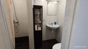 een badkamer met een wastafel, een toilet en een spiegel bij Butas prie vaikų parko in Ventspils +3 foto's