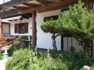 a house with a tree in the yard at AlmFerienhaus Gaisegg am Klippitztörl in Klippitztorl