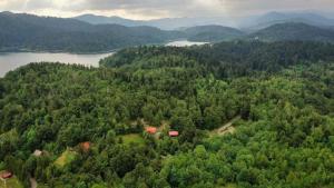 eine Luftaufnahme eines Hauses in einem Wald neben einem See in der Unterkunft Ferienhaus für 7 Personen ca 80 qm in Lokve, Kvarner Bucht Gespanschaft Primorje-Gorski in Lokve