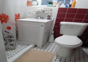 a bathroom with a white toilet and a sink at "Cozy Basement Retreat Just 40 Minutes to NYC!" in Irvington +39 photos