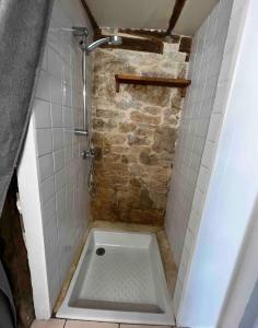 a bathroom with a shower with a sink at Sous la glycine in Sarrazac