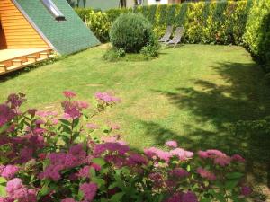 a garden with pink flowers in a yard at Haus Waldesrauschen der Ferienanlage Rabenstein in Chemnitz