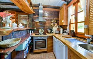 Kuchyň nebo kuchyňský kout v ubytování Gorgeous Home In Breznica With Sauna