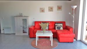 un salon avec un canapé rouge et une table dans l'établissement Ferienhaus mit Grill und Garten in Neukirchen, à Neukirchen