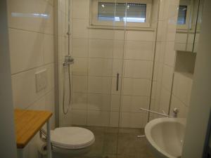 a bathroom with a shower and a toilet and a sink at Ferienwohnung in Fedderwardersiel mit Terrasse in Butjadingen