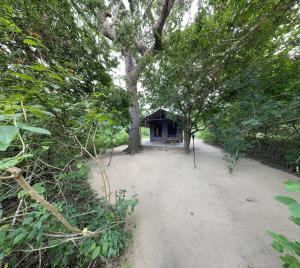 Zahrada ubytování The Campers Lodge Yala + 19 fotografií