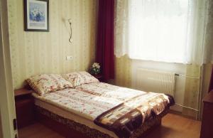 カルパチにあるWilla Skaleńのベッドルーム(ベッド1台、窓付)