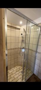 a shower in a bathroom with a glass wall at Domek nad Stawem in Woldenberg Neumark