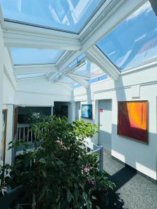 a skylight in an office building with a plant at Villa Helvetia in Târgu-Mureş