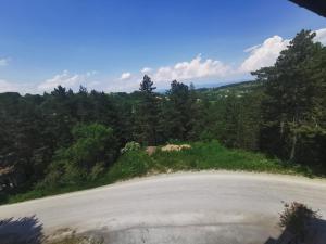 Příroda nedaleko apartmánu