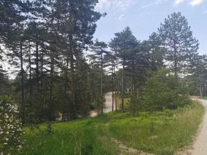 Příroda nedaleko apartmánu