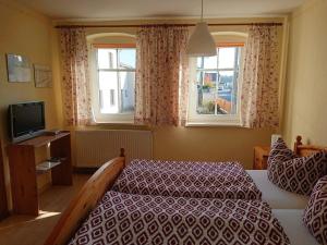 a bedroom with a bed and a tv and two windows at Ferienhaus mit Garten, Weinlaube und Aussenpool in Grimma