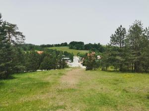 Příroda nedaleko apartmánu