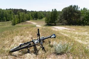 a bike parked in a field of grass at Barrierefreies Ferienhaus in Altwarp mit Sauna, Kamin und Wasserblick in Altwarp