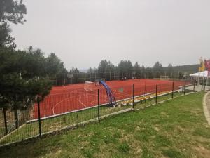 Tenis a/nebo squash v ubytování Apartman Tarski snovi - Tara, Kaluđerske bare nebo okolí