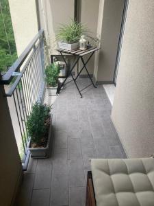 Balkón nebo terasa v ubytování B&B Gardenia