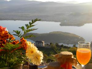 a glass of orange juice and a vase of flowers at Agnantio in Ioannina