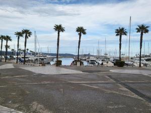 a marina with palm trees and boats in the water at Appartement génial en centre ville avec parking in Cavalaire-sur-Mer