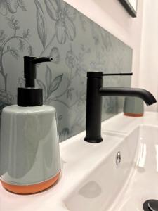 a soap dispenser sitting on top of a sink at La suite d'Anna in Rohan +41 photos