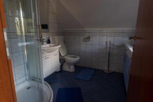 KostelにあるDomačija Marinčのトイレ、洗面台、シャワー付きのバスルーム +29枚の写真