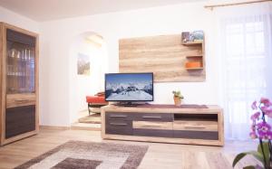 a living room with a tv on a wooden cabinet at Alp Chalet Appartement in Kappl