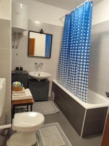 Ένα μπάνιο στο Studio apartman Tisno-Smokva +29 φωτογραφίες