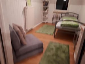 ein Wohnzimmer mit einem Sofa und 2 Teppichen in der Unterkunft Große, komfortable Ferienwohnung mit Terrasse und Garten im Grünen und viel Platz für Ihr Haustier in Rathenow
