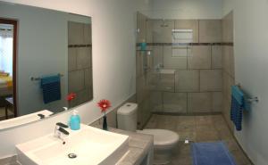 a bathroom with a sink and a toilet and a shower at Avenues Guesthouse in Mossel Bay +32 photos