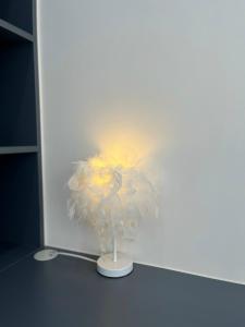 Thái NguyênにあるLuxury 2bed apart- Tecco thịnh đán thai nguyên - Samsung 20minのテーブルの花瓶の白花