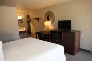 a hotel room with a bed and a television at Unique Suites Hotel in Charleston