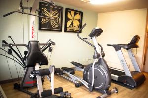 Fitness centrum a/nebo fitness zařízení v ubytování Unique Suites Hotel