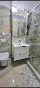 a bathroom with a white sink and a toilet at Apartament Daria in Timişoara