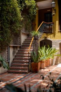 a set of stairs in front of a house with plants at Hotel Nou Rom&agrave; in Denia