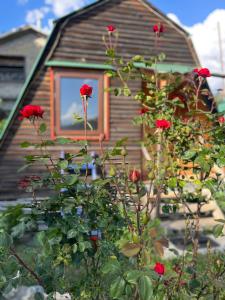 Billede fra billedgalleriet på Cottages Filippo i Mestia