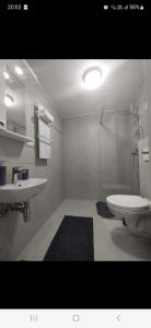 Et badeværelse på Studio apartman Delight Vrnjačka banja