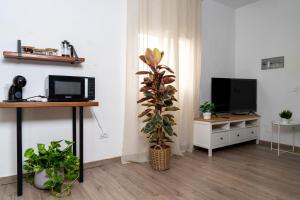 Gallery image of Casa Rosendo Madre in La Guancha